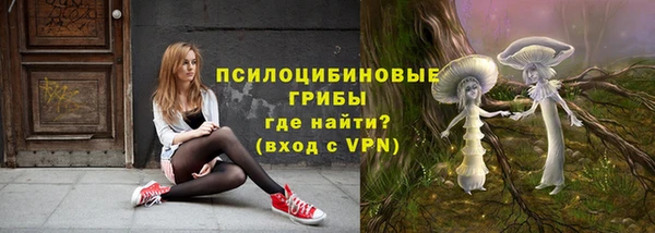 apvp Абинск