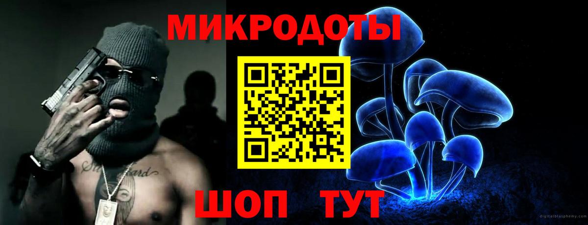 Псилоцибиновые грибы Psilocybine cubensis Красноуфимск